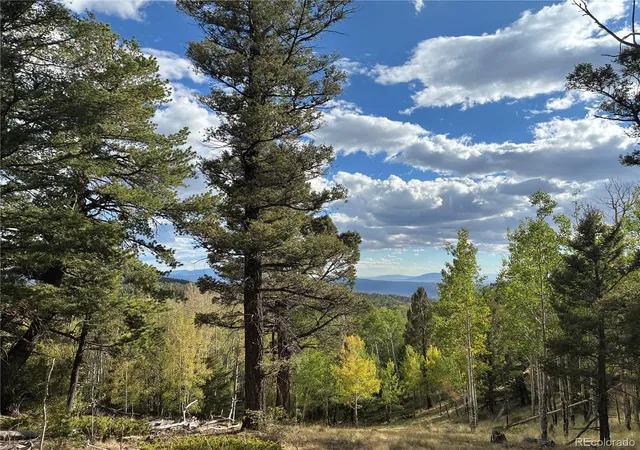 Photo 4 of Land for sale at Lot 5597 Nettler Rd, San Luis, CO 81152 | MLS# 7106830 | Listing updated on 2026-09-11