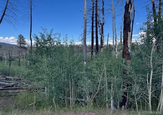 Photo 3 of Land for sale at 968 Hunington Ln, Fort Garland, CO 81133 | MLS# 2188128 | Listing updated on 2026-09-15