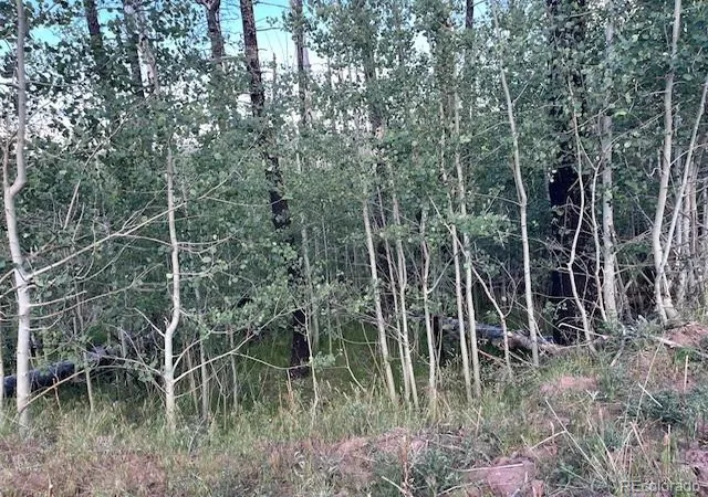 Photo 4 of Land for sale at 968 Hunington Ln, Fort Garland, CO 81133 | MLS# 2188128 | Listing updated on 2026-09-15