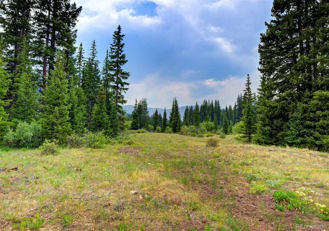 Photo 3 of Single family home for sale at 9562 Co Rd 18, Fairplay, CO 80440 | MLS# 3661759 | Listing updated on 2026-09-10