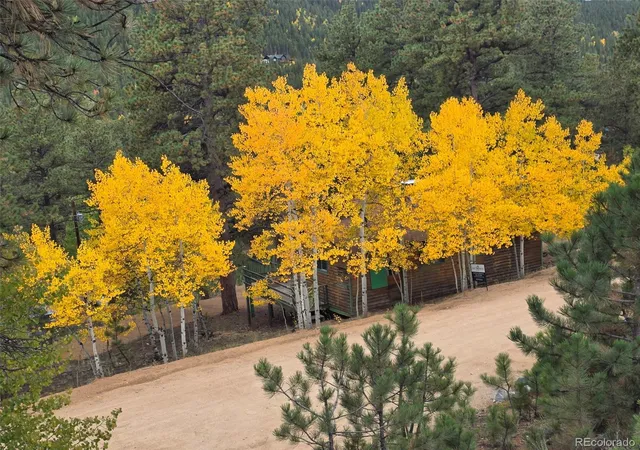 Photo 2 of Single family home for sale at 132 Jones Rd, Bailey, CO 80421 | MLS# 7175386 | Listing updated on 2026-09-23