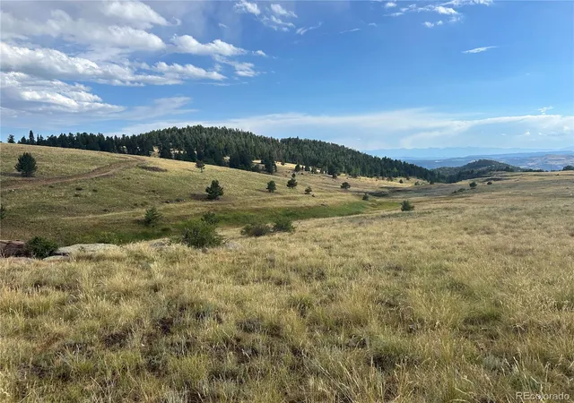 Land for sale at 1100 Grumpy Burro View, Cripple Creek, CO 80863 | MLS# 7928960