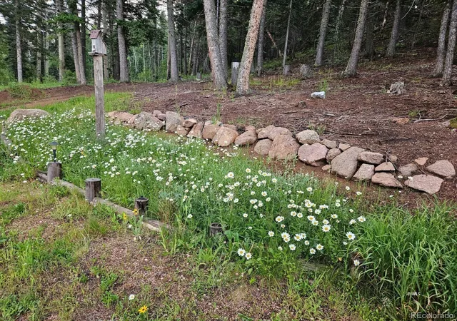 Photo 3 of Sale Pending at 648 Westcliffe Dr, Rye, CO 81069 | MLS# 5391223 | Listing updated on 2026-09-21