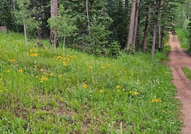 Photo 4 of Sale Pending at 648 Westcliffe Dr, Rye, CO 81069 | MLS# 5391223 | Listing updated on 2026-09-21