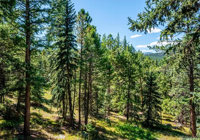 Photo 4 of Single family home for sale at 8281 Grizzly Way, Evergreen, CO 80439 | MLS# 7618446 | Listing updated on 2026-09-24