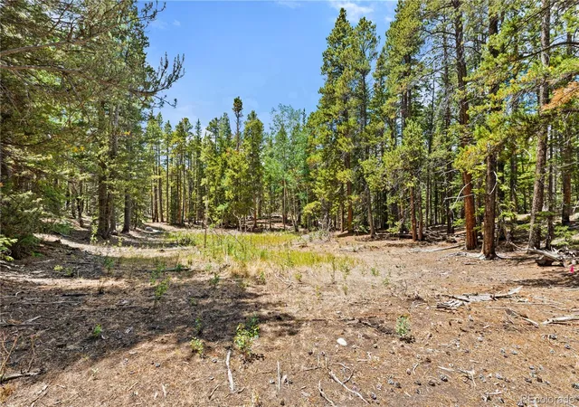 Photo 3 of Land for sale at Lot 1 Venture Rd, Fairplay, CO 80440 | MLS# 6462998 | Listing updated on 2026-09-14