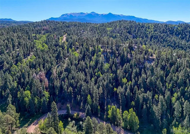 Land for sale at 776 Spring Valley Ln, Florissant, CO 80816 | MLS# 7941762