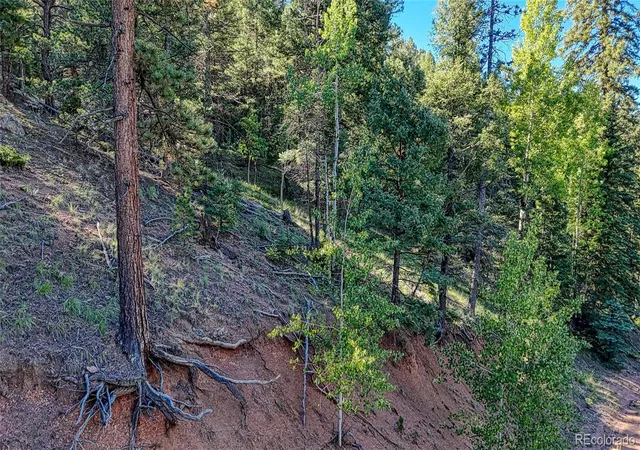 Photo 3 of Land for sale at 776 Spring Valley Ln, Florissant, CO 80816 | MLS# 7941762 | Listing updated on 2026-09-15