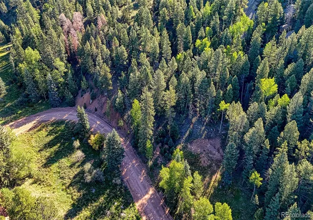 Photo 4 of Land for sale at 776 Spring Valley Ln, Florissant, CO 80816 | MLS# 7941762 | Listing updated on 2026-09-15