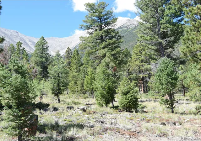 Land for sale at 17225 County Rd 327, Buena Vista, CO 81211 | MLS# 9560706