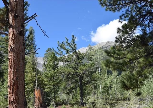 Photo 4 of Land for sale at 17225 County Rd 327, Buena Vista, CO 81211 | MLS# 9560706 | Listing updated on 2026-09-15