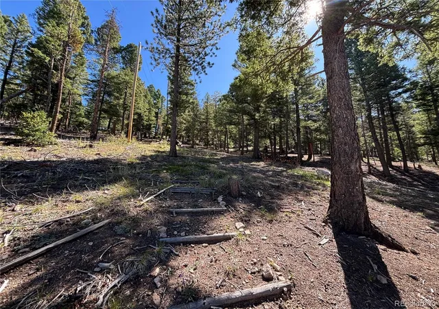 Photo 4 of Single family home for sale at 26460 Pleasant Park Rd, Conifer, CO 80433 | MLS# 7866329 | Listing updated on 2026-09-11
