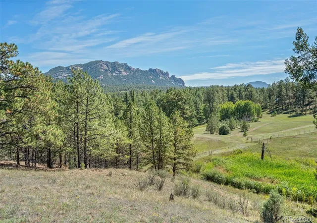 Photo 3 of Single family home for sale at 21555 Spring Crk Rd, Buffalo Creek, CO 80425 | MLS# 3829258 | Listing updated on 2026-09-22