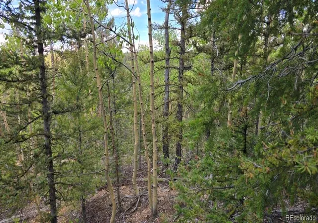 Photo 1 of Land for sale at Lot 6803 Ryland Rd, San Luis, CO 81152 | MLS# 9469951 | Listing updated on 2026-09-11