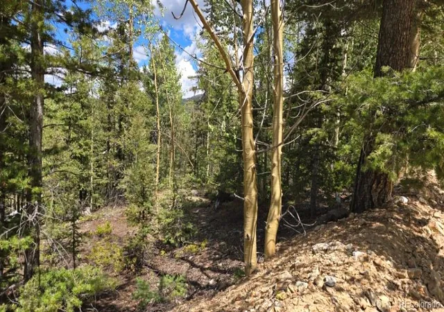 Photo 2 of Land for sale at Lot 6803 Ryland Rd, San Luis, CO 81152 | MLS# 9469951 | Listing updated on 2026-09-11