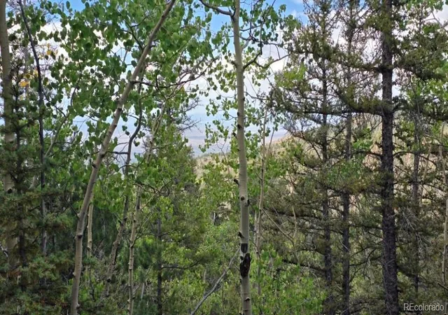 Photo 3 of Land for sale at Lot 6803 Ryland Rd, San Luis, CO 81152 | MLS# 9469951 | Listing updated on 2026-09-11