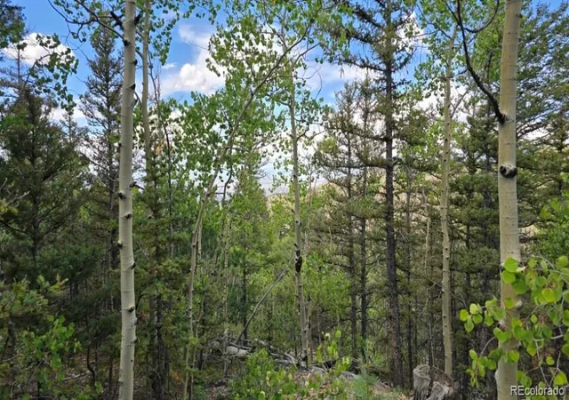 Photo 3 of Land for sale at Lot 6803 Ryland Rd, San Luis, CO 81152 | MLS# 9469951 | Listing updated on 2026-09-11