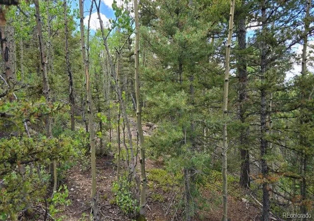 Photo 4 of Land for sale at Lot 6803 Ryland Rd, San Luis, CO 81152 | MLS# 9469951 | Listing updated on 2026-09-11