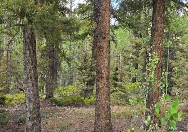 Photo 2 of Land for sale at Lot 6804 Ryland Rd, San Luis, CO 81152 | MLS# 8684172 | Listing updated on 2026-09-11