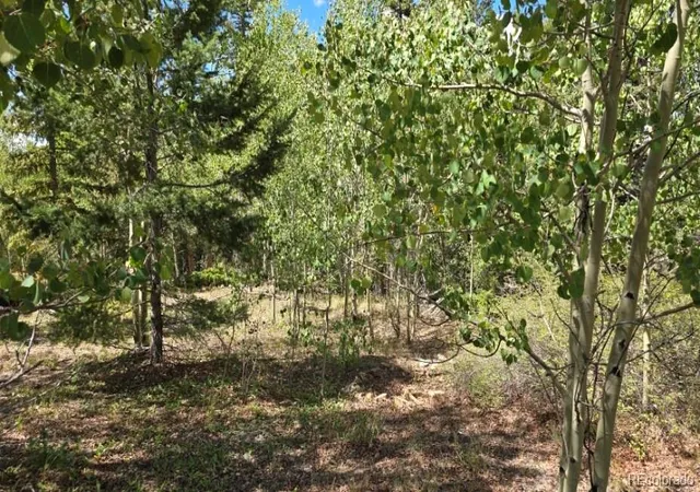 Photo 3 of Land for sale at Lot 6804 Ryland Rd, San Luis, CO 81152 | MLS# 8684172 | Listing updated on 2026-09-11