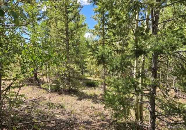 Photo 4 of Land for sale at Lot 6804 Ryland Rd, San Luis, CO 81152 | MLS# 8684172 | Listing updated on 2026-09-11