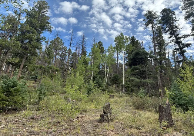 Photo 3 of Land for sale at Lot 5965 Goldstein Rd, San Luis, CO 81152 | MLS# 1616469 | Listing updated on 2026-09-11