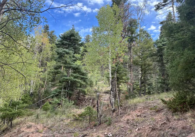 Photo 4 of Land for sale at Lot 5965 Goldstein Rd, San Luis, CO 81152 | MLS# 1616469 | Listing updated on 2026-09-11