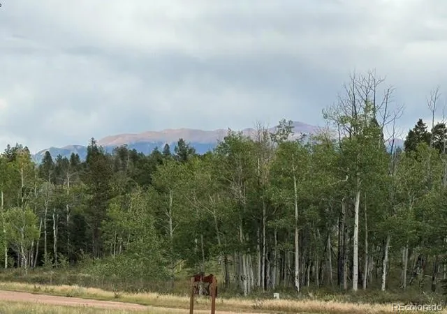 Land for sale at 455 Aspen Way Dr, Florissant, CO 80816 | MLS# 9356515