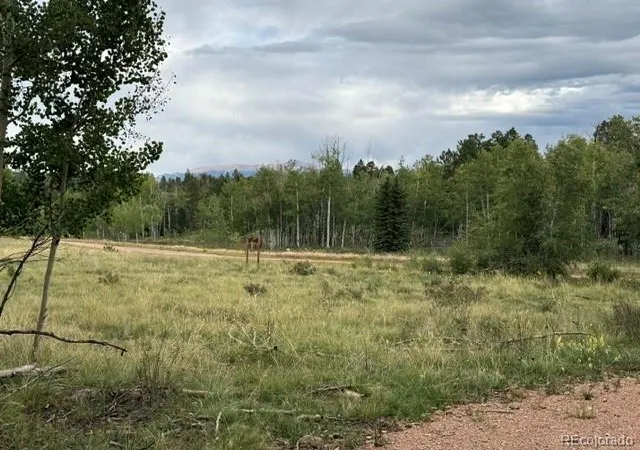 Photo 1 of Land for sale at 455 Aspen Way Dr, Florissant, CO 80816 | MLS# 9356515 | Listing updated on 2026-09-14