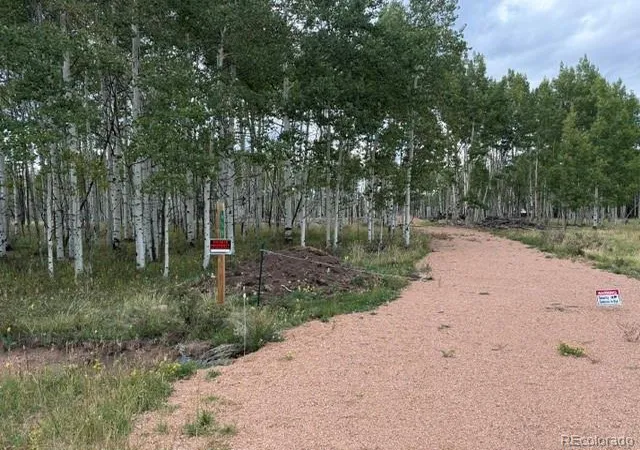 Photo 2 of Land for sale at 455 Aspen Way Dr, Florissant, CO 80816 | MLS# 9356515 | Listing updated on 2026-09-14