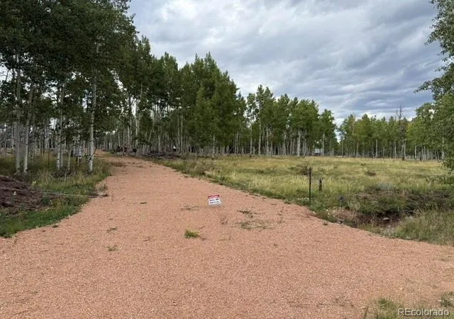 Photo 3 of Land for sale at 455 Aspen Way Dr, Florissant, CO 80816 | MLS# 9356515 | Listing updated on 2026-09-14