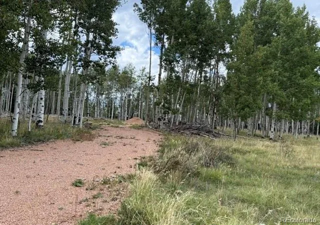 Photo 4 of Land for sale at 455 Aspen Way Dr, Florissant, CO 80816 | MLS# 9356515 | Listing updated on 2026-09-14