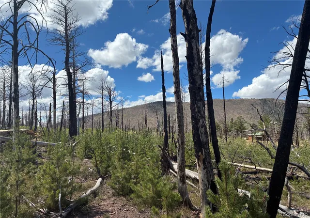 Photo 1 of Land for sale at Lot 2257 Port Loop, Fort Garland, CO 81133 | MLS# 8804510 | Listing updated on 2026-09-15