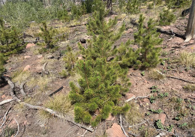 Photo 3 of Land for sale at Lot 2257 Port Loop, Fort Garland, CO 81133 | MLS# 8804510 | Listing updated on 2026-09-15