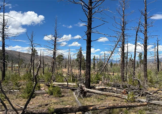 Photo 3 of Land for sale at Lot 2257 Port Loop, Fort Garland, CO 81133 | MLS# 8804510 | Listing updated on 2026-09-15