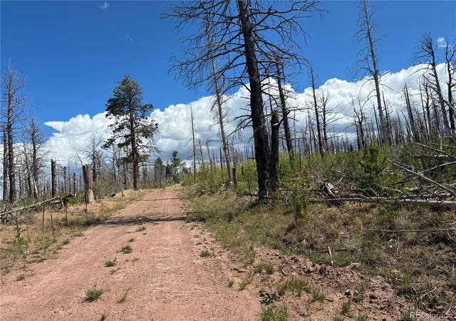 Photo 4 of Land for sale at Lot 2257 Port Loop, Fort Garland, CO 81133 | MLS# 8804510 | Listing updated on 2026-09-15