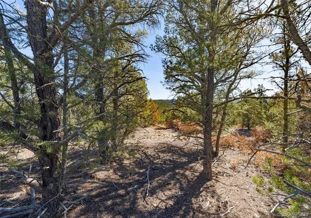 Land for sale at 29870 County Rd 16, Trinidad, CO 81082 | MLS# 8723898