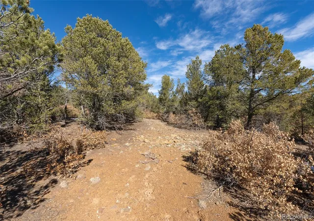 Photo 4 of Land for sale at 29870 County Rd 16, Trinidad, CO 81082 | MLS# 8723898 | Listing updated on 2026-09-15