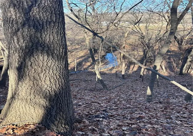 Photo 1 of Land for sale at U Hwy, Camden Point, MO 64079 | MLS# 2588353 | Listing updated on 2026-09-10