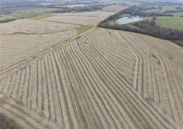 Photo 3 of Land for sale at Tract 4 Pryor Rd, Pleasant Hill, MO 64080 | MLS# 2589125 | Listing updated on 2026-09-11