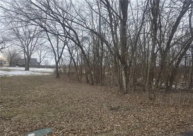 Photo 1 of Land for sale at N Washington St, East Lynne, MO 64743 | MLS# 2599239 | Listing updated on 2026-09-15