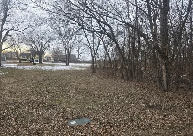 Photo 2 of Land for sale at N Washington St, East Lynne, MO 64743 | MLS# 2599239 | Listing updated on 2026-09-15