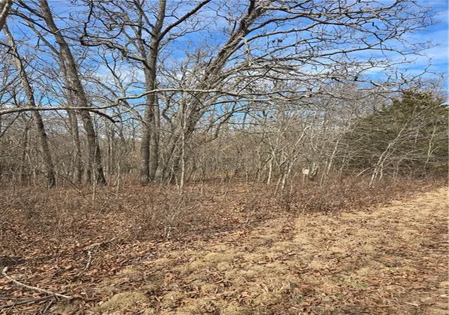 Photo 2 of Land for sale at Mo V Hwy, Edwards, MO 65326 | MLS# 2600605 | Listing updated on 2026-09-15