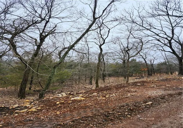 Photo 4 of Land for sale at 6 & 10 Live Oak Dr, La Cygne, KS 66040 | MLS# 2604688 | Listing updated on 2026-09-14
