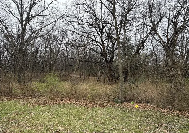 Photo 2 of Land for sale at 0000 Brown Ave, Osawatomie, KS 66064 | MLS# 2609006 | Listing updated on 2026-09-15