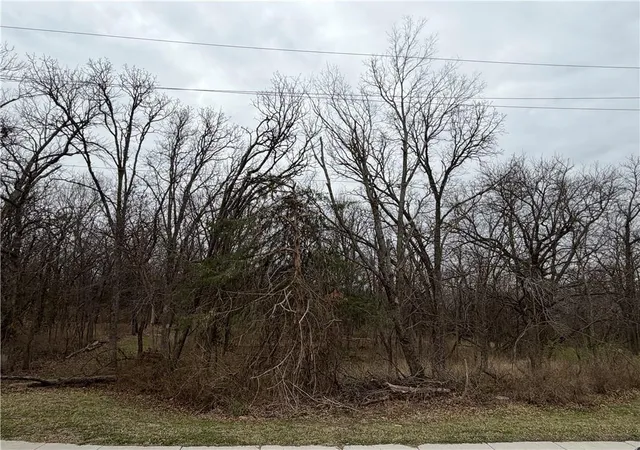Photo 3 of Land for sale at 0000 Brown Ave, Osawatomie, KS 66064 | MLS# 2609006 | Listing updated on 2026-09-15