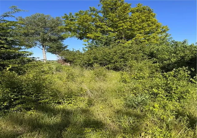 Photo 3 of Land for sale at Na N/a, Levasy, MO 64066 | MLS# 2616486 | Listing updated on 2026-09-13