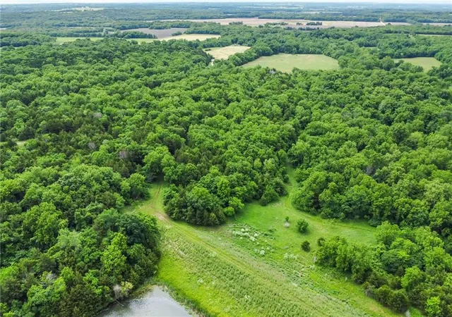 Photo 23 of Land for sale at 4345 Douglas Rd, Lane, KS 66042 | MLS# 2621191 | Listing updated on 2026-09-11