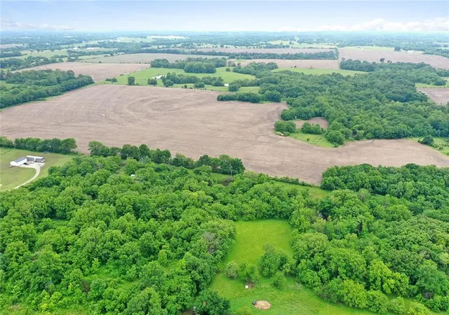 Photo 4 of Land for sale at Tbd Oo Hwy, Odessa, MO 64076 | MLS# 2621334 | Listing updated on 2026-09-11