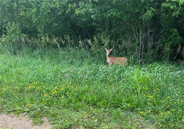 Photo 3 of Land for sale at Sec-i-435 & Farley Hampton Rd, None/county, MO 64079 | MLS# 2634004 | Listing updated on 2026-09-14